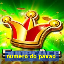 numero do pavao